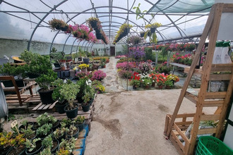 achat boutique st-denis-d-oleron 17650