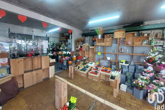 achat boutique st-magne-de-castillon 33350