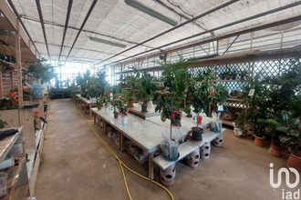 achat boutique st-magne-de-castillon 33350