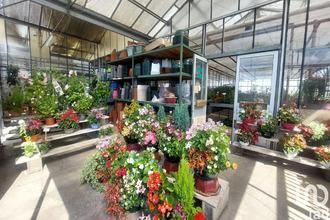 achat boutique st-magne-de-castillon 33350