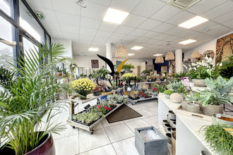 achat boutique st-malo 35400