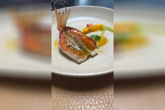 achat boutique ste-maxime 83120