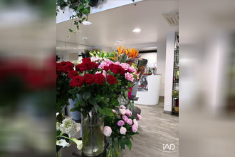 achat boutique tours 37000