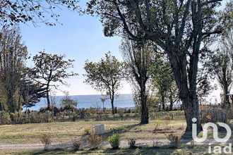 achat divers ambon 56190