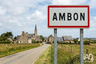 achat divers ambon 56190