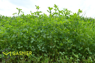 achat divers angers 49000