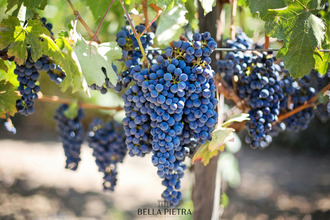 achat divers bordeaux 33000