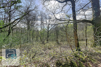 achat divers broons 22250