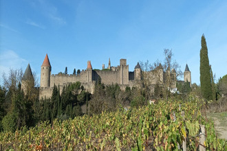 achat divers carcassonne 11000