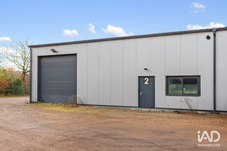 achat divers chauve 44320