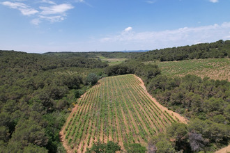 achat divers creissan 34370