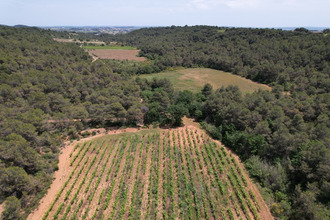 achat divers creissan 34370