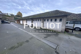 achat divers fougeres 35300