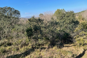 achat divers gassin 83580