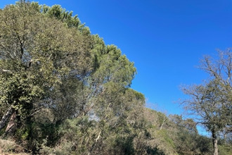 achat divers gassin 83580