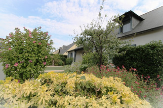 achat divers gennes 49350