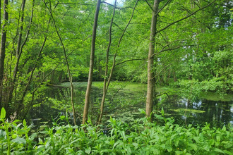 achat divers glenay 79330