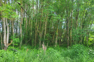 achat divers glenay 79330