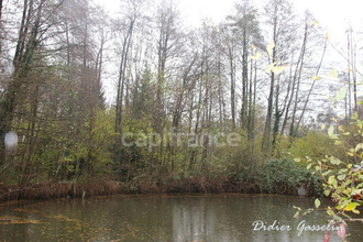 achat divers greez-sur-roc 72320