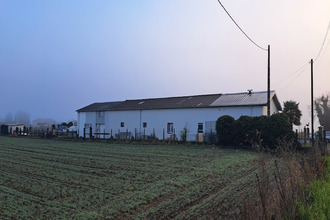 achat divers ibos 65420