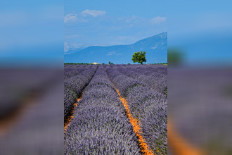 achat divers l-isle-sur-la-sorgue 84800