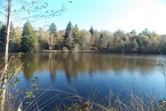 achat divers la-chapelle-mtbrandeix 87440