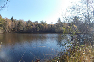 achat divers la-chapelle-mtbrandeix 87440