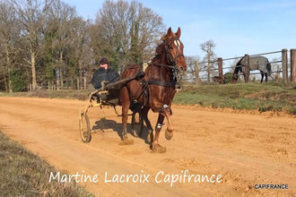 achat divers la-ferte-bernard 72400