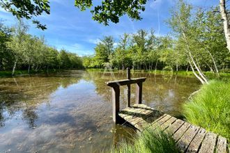 achat divers la-ferte-st-aubin 45240