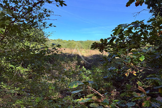 achat divers la-ferte-st-aubin 45240