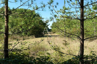 achat divers la-ferte-st-aubin 45240