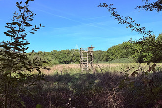 achat divers la-ferte-st-aubin 45240