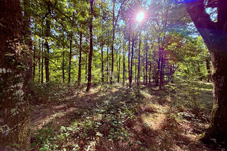 achat divers la-ferte-st-aubin 45240