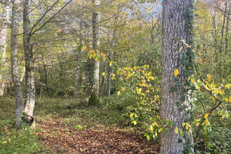 achat divers lerm-et-musset 33840