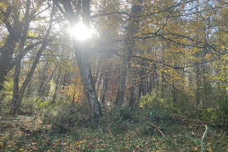 achat divers lerm-et-musset 33840