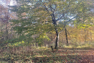 achat divers lerm-et-musset 33840