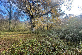 achat divers lerm-et-musset 33840