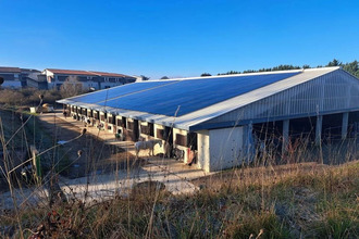 achat divers loupiac-de-la-reole 33190