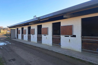 achat divers loupiac-de-la-reole 33190