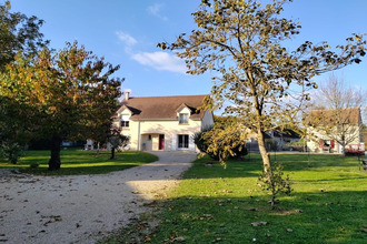 achat divers nargis 45210