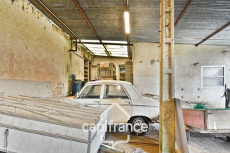 achat divers nuaille-d-aunis 17540