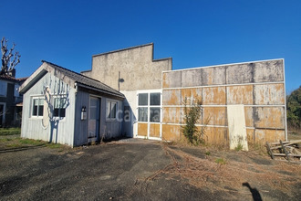 achat divers panjas 32110