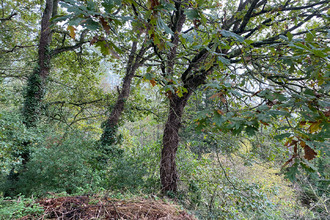 achat divers plancoet 22130