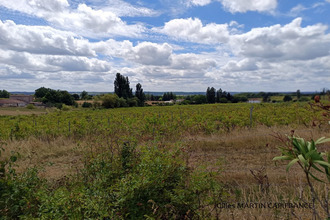 achat divers port-ste-foy-et-ponchapt 33220