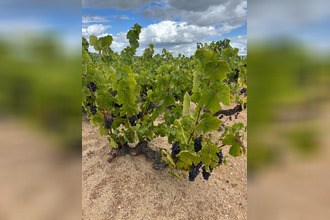 achat divers regnie-durette 69430