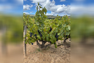 achat divers regnie-durette 69430