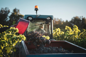 achat divers roquessels 34320