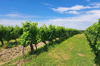 achat divers sauveterre-de-guyenne 33540