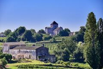 achat divers st-denis-de-pile 33910