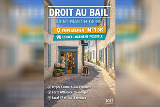 achat divers st-martin-de-re 17410
